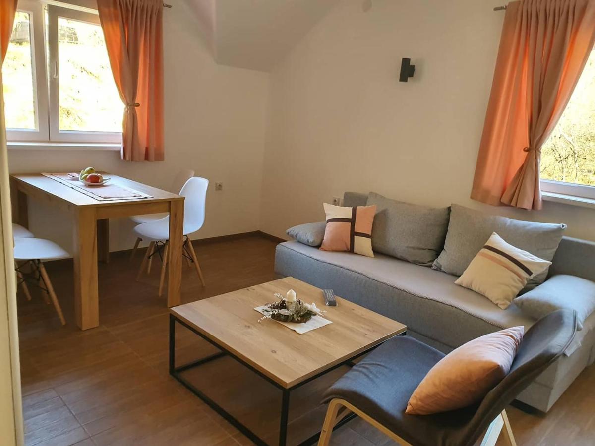 Vila Vrh Crni Vrh Zewnętrze zdjęcie