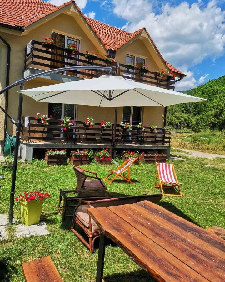 Vila Vrh Crni Vrh Zewnętrze zdjęcie