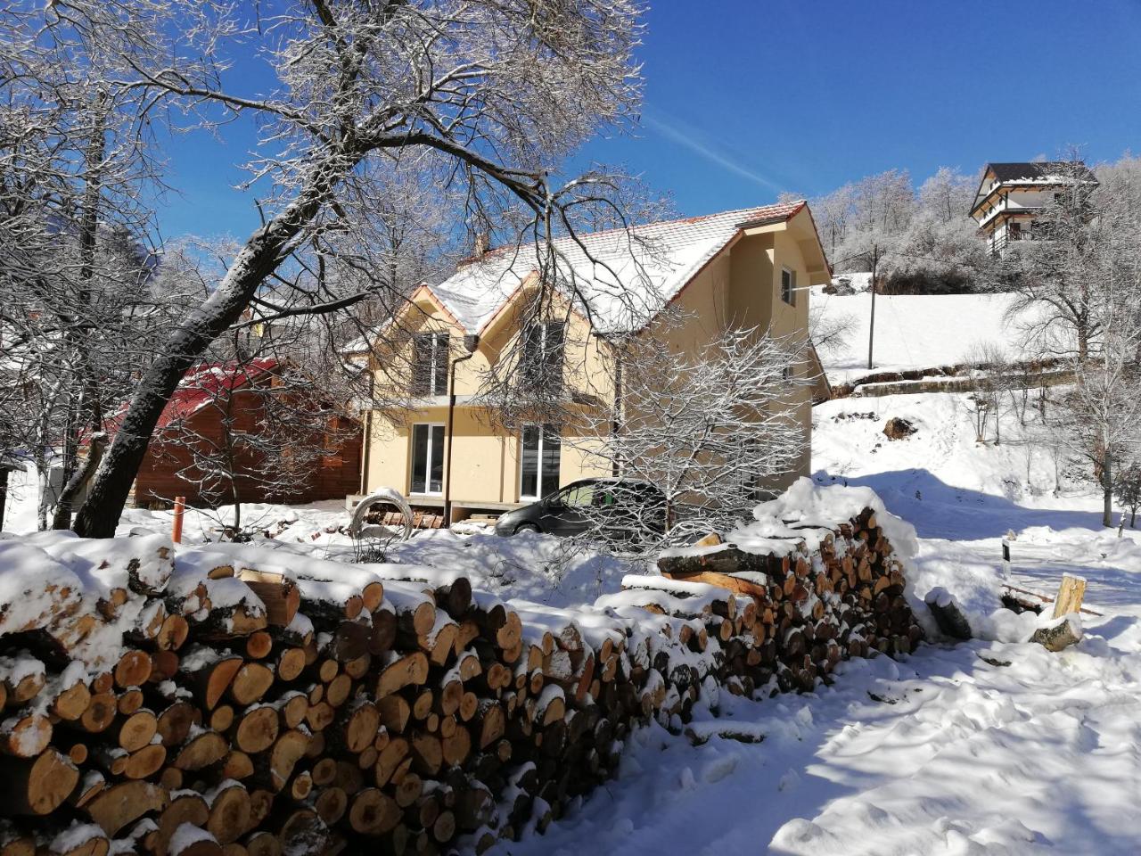 Vila Vrh Crni Vrh Zewnętrze zdjęcie