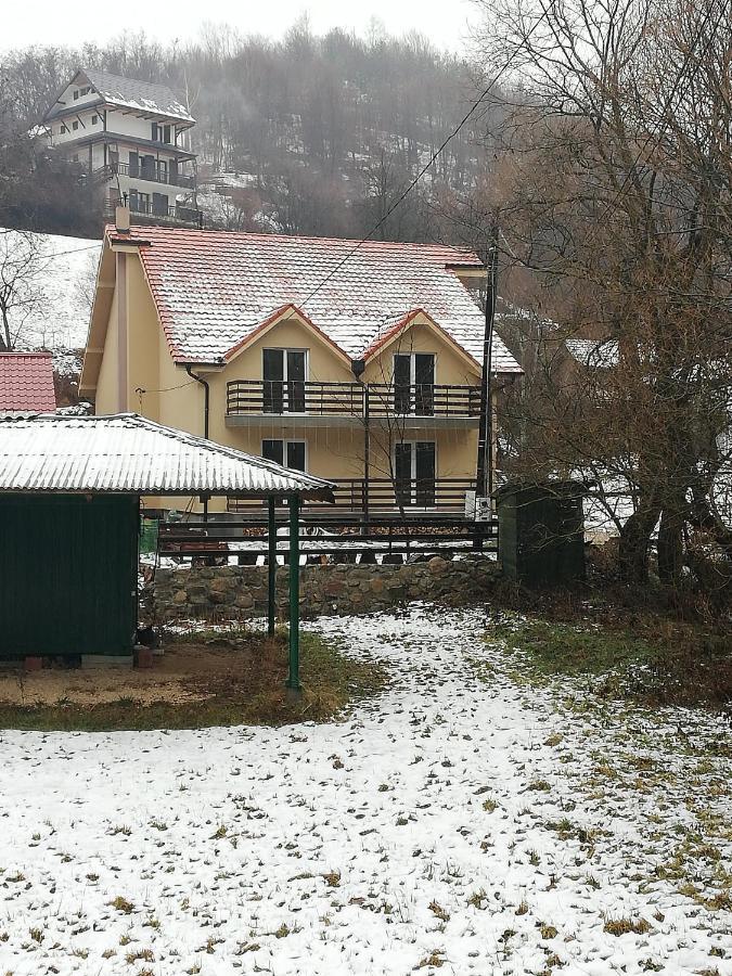 Vila Vrh Crni Vrh Zewnętrze zdjęcie