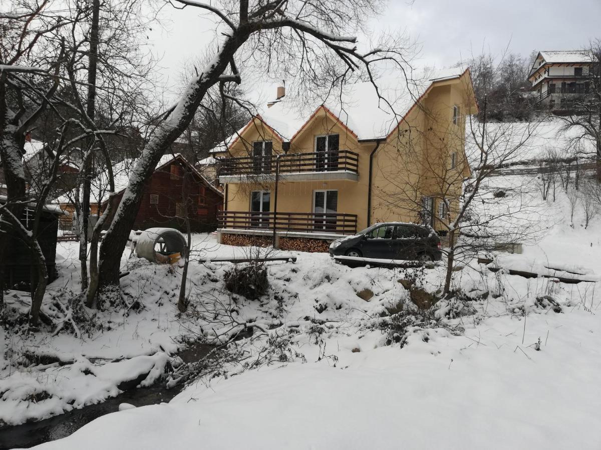 Vila Vrh Crni Vrh Zewnętrze zdjęcie